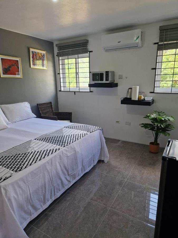 Amharic Hotel คิงส์ตัน ภายนอก รูปภาพ