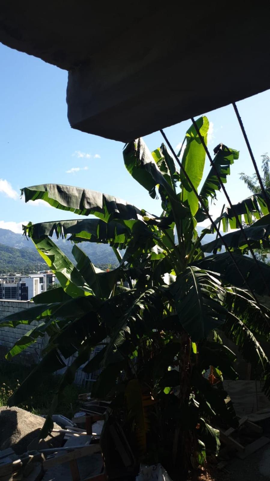 Amharic Hotel คิงส์ตัน ภายนอก รูปภาพ