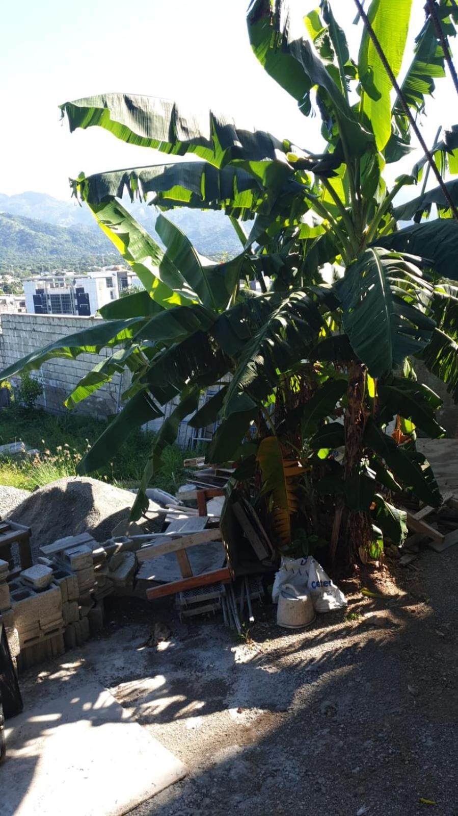 Amharic Hotel คิงส์ตัน ภายนอก รูปภาพ